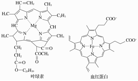 下图是一种叶绿素分子和血红蛋白分子部分结构图以下有关叙述不正确的