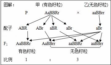 (18分)玉米(2n=20)雌雄同株异花,是重要的粮食作物之一.