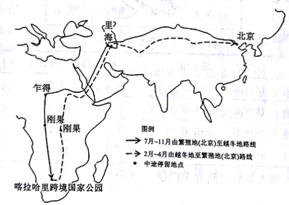 北京雨燕迁徙路线地图图片