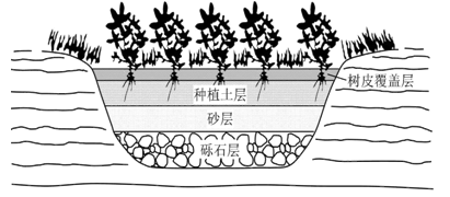 雨水花园是一种模仿自然界雨水汇集,渗漏而建设的浅凹绿地