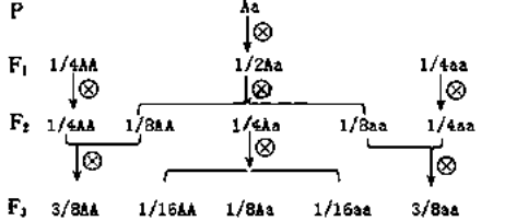 让杂合子aa连续自交三代则第四代中杂合子所占比例为
