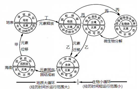 是地质大循环与生物小循环综合作用的—智能组卷(涵盖高中各科精品