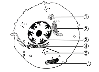 下圖為高等動物細胞結構的示意圖下列相關敘述正確的是
