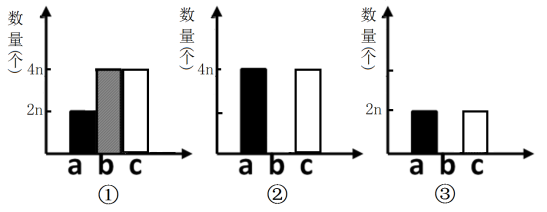 有丝染色体数目变化图图片